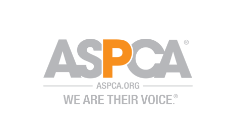 ACPCA pet insurance review
