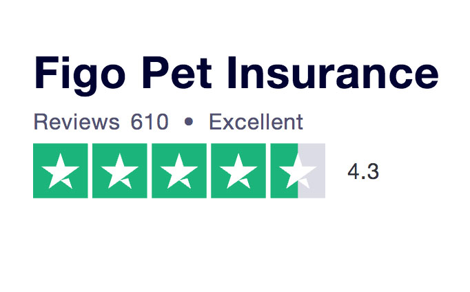 figo pet insurance review