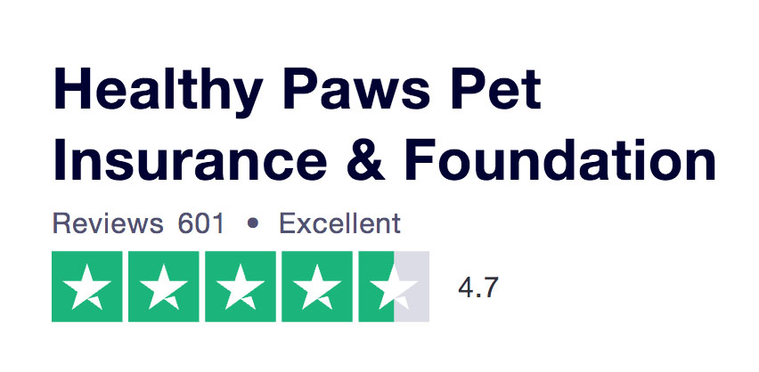 healthy paws pet insurance reviews